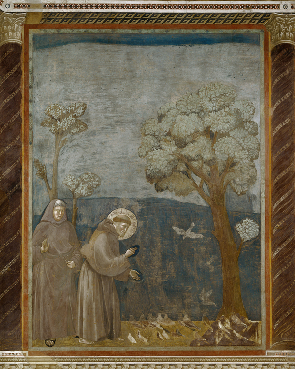 Giotto, Storie di san Francesco. Predica agli uccelli (1295-1299 circa). Assisi, Basilica superiore
